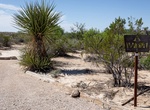 Camp at Willow Tank, Big Bend National Park, Texas