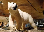 Visit Svalbard Museum, Longyearbyen, Svalbard, Norway