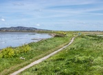 Visit Bull Island, Dublin Bay, Ireland