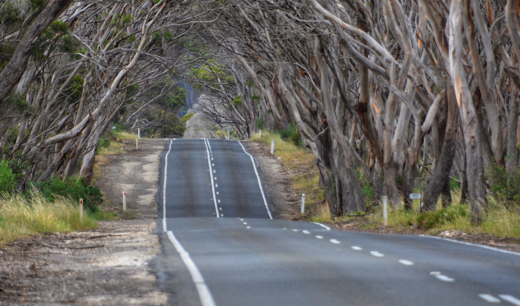 Kangaroo Island