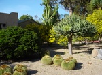 Visit Mission Gardens, Tucson, Arizona