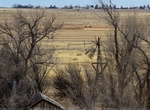 See Moriarty Eclipse Windmill, Moriarty, New Mexico