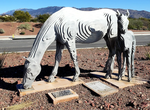 See Invisible Horses Sculpture, Tucson, Arizona