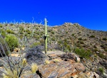 Hike Rincon Mountains Trails, Saguaro National Park, Arizona