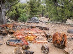 Visit Escalante Petrified Forest State Park, Utah