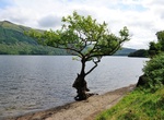 Visit Firkin Point, Loch Lomond, Scotland