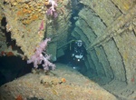Wreck Dive SS Dunraven, Ras Muhammad National Park, Egypt