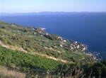 Wine Tasting in Dingač, Pelješac peninsula, Croatia