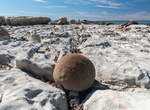 See Ward Beach Boulders, New Zealand