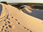 Explore Cronulla Sand Dunes, Kurnell Peninsula, New South Wales, Australia