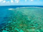 Dive Norman Reef, Great Barrier Reef, Australia