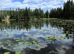 Hike To Nymph Lake, Rocky Mountain National Park