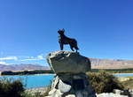 See New Zealand Collie Sheepdog Statue, Lake Tekapo