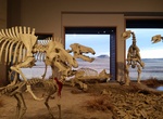 Visit Agate Fossil Beds Visitor Center and Museum, Harrison, Nebraska