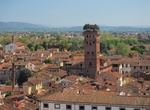 See Guinigi Tower, Lucca, Tuscany