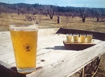 Visit Calico Cidery, Julian, California