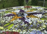 See Christchurch Floral Clock, Christchurch, New Zealand
