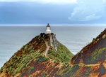 Visit Nugget Point Lighthouse, Otago, New Zealand