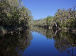 Explore Noosa Everglades, Queensland, Australia