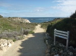 Visit Little Armstrong Bay, Rottnest Island, Western Australia