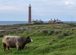 See Gabo Island Lighthouse, Gabo Island, Victoria, Australia