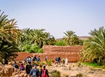 Visit Figuig, Morocco