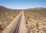 Drive Joshua Tree Highway (Nevada State Route 164), Nevada