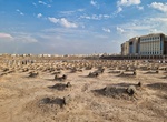 Visit Al-Baqi' Cemetery, Medina, Saudi Arabia