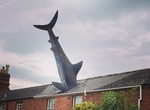 See Headington Shark, Headington, Oxford, England