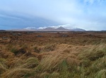 Drive or Cycle The Bog Road (Roundstone Bog), Connemara, Ireland