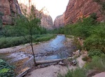 Hike Riverside Walk (Gateway to the Narrows Trail), Zion National Park, Utah