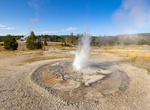 See Tardy Geyser, Upper Geyser Basin, Yellowstone National Park, Wyoming