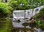 See Stock Ghyll Force, Ambleside, Cumbria, England