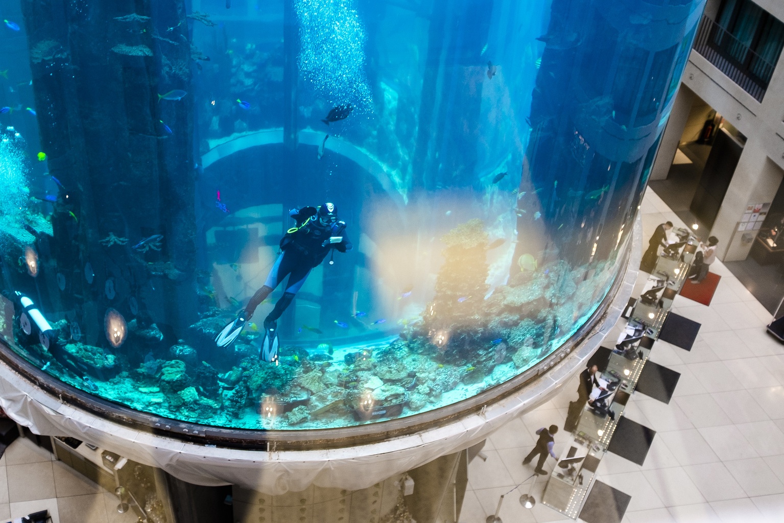 World's Biggest FreeStanding Aquarium Shatters, Killing Most Of Its