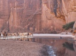 Visit Guelta d'Archei, Chad