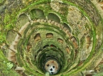 See Initiation Wells, Quinta da Regaleira, Sintra, Portugal