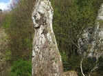 See Igła Deotymy (Needle of Deotyma), Ojców National Park, Poland