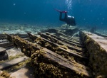 Wreck Dive or Snorkel New Orleans Shipwreck, Thunder Bay, Michigan