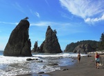 Visit Rialto Beach, Olympic National Park, Washington