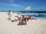 Visit Kaiyo Maru Shipwreck, Laysan Island, Northwestern Hawaiian Islands