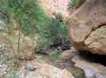 Hike Wadi Ghuweir, Jordan