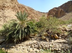 Hike Wadi Himara, Dead Sea, Jordan