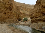Hike Wadi Mukheiris, Swemeh, Jordan