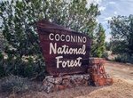 Explore Coconino National Forest, Arizona
