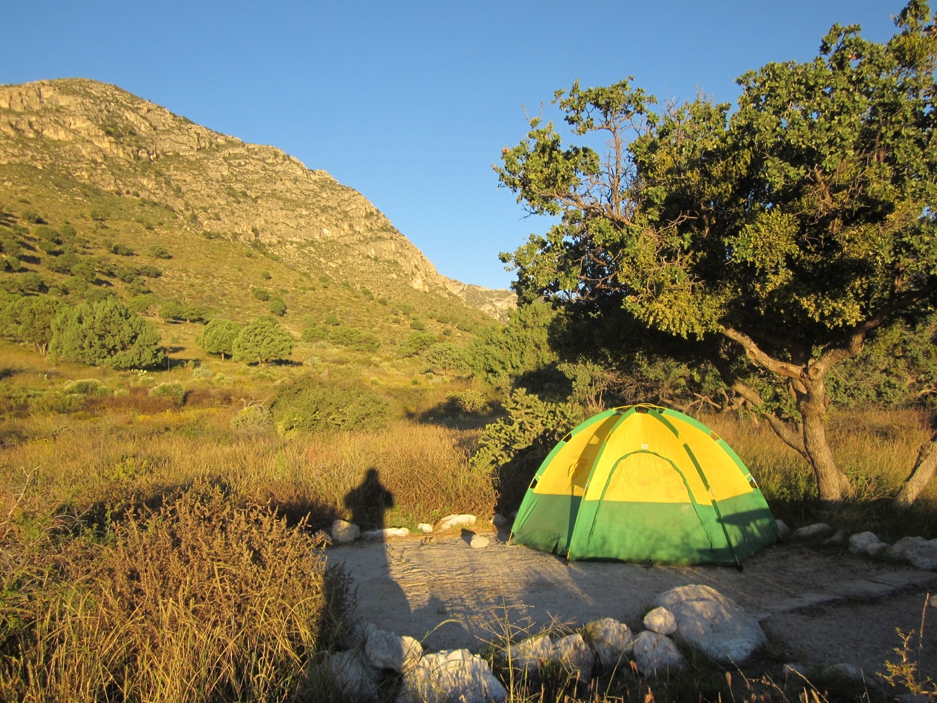 Pine Springs Campground