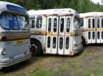 Visit Sandon's BC Transit Bus Graveyard, Sandon, British Columbia, Canada