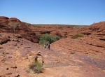 Hike Kings Canyon Rim Walk, Northern Territory, Australia
