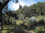 Visit Lokrum Botanical Garden, Lokrum Island, Croatia
