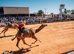 Attend Boulia Camel Races, Boulia, Queensland, Australia