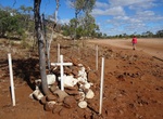 Visit Mailman Corbett's Grave (Bottle Trees Lookout), Kennedy Developmental Road, Queensland, Australia